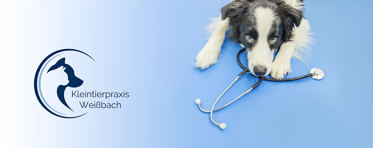 Kleintierpraxis Weißbach – Headerbild